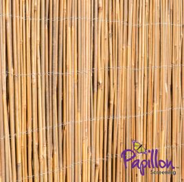 Bambusmatte, 200cm x 400cm, Vollrohr - €8.74M² - Natur - Große Breite - Papillon™