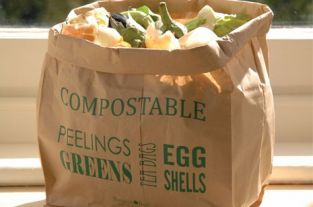 Kompostierbare Küchenabfall- Einlage