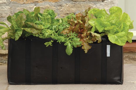 Tasche für Salatpflanzen