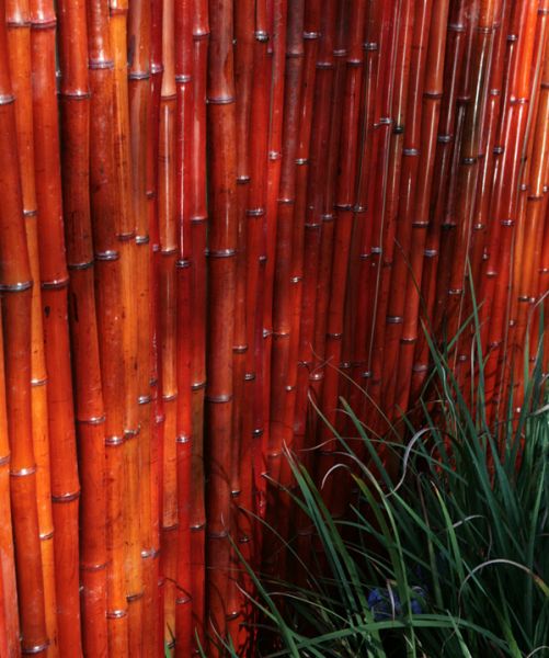 Bambusmatte, 180cm x 190cm, Vollrohr, rot, Papillon