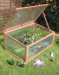 'Botanico' Holz Rahmen mit Polykarbonat Glas