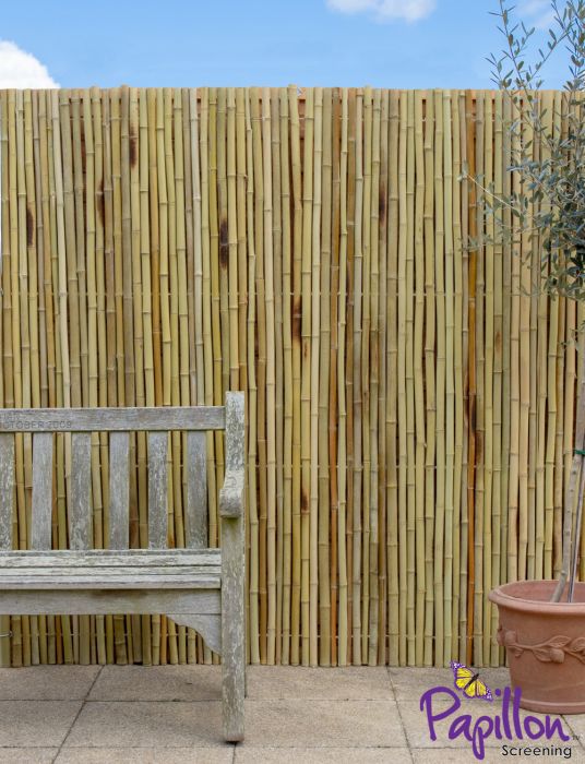 Bambusmatte, 180cm x 190cm, Vollrohr, hell, Papillon™