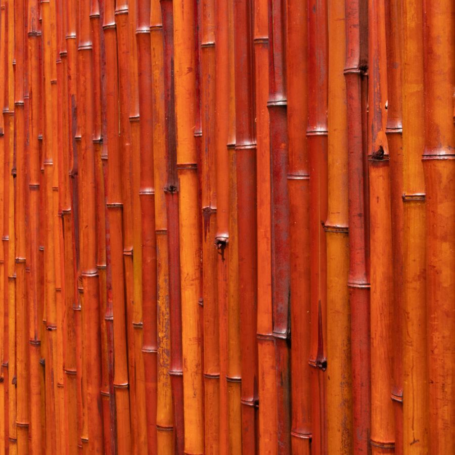 Bambusmatte, 180cm x 190cm, Vollrohr, rot, Papillon™ 94,99 €