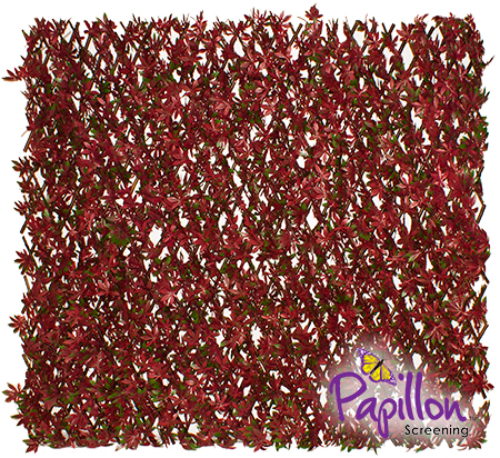 Ausziehbares Sichtschutzgitter aus PVC, Ahorn, 100cm x 200cm, rot, Papillon™