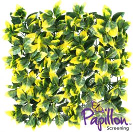 Sichtschutz aus PVC, grün und gelb, 50cm x 50cm, Papillon™
