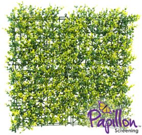 Sichtschutz aus PVC, Buchsbaum, hellgrün, 50cm x 50cm, Papillon™