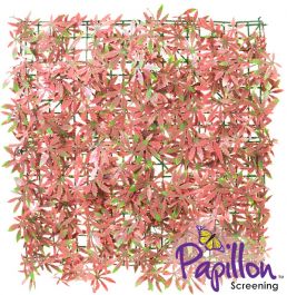 Sichtschutz aus PVC, Ahorn, rot, 50cm x 50cm, Papillon™