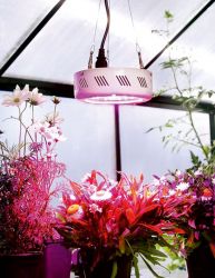 Superwachstums LED-1 Pflanzen-Lampe